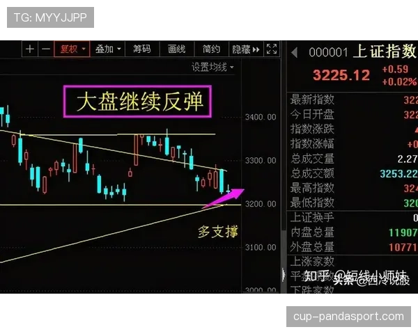 多特蒙德赛季高开低走，稳定性面临考验